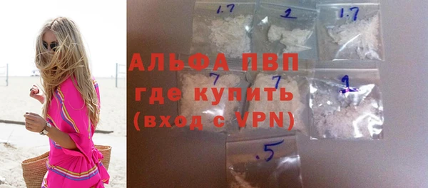 индика Заволжье