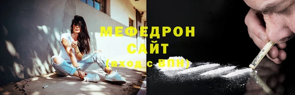 индика Заволжье