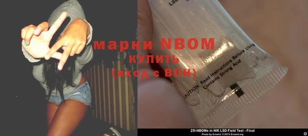 индика Заволжье