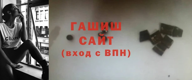 индика Заволжье