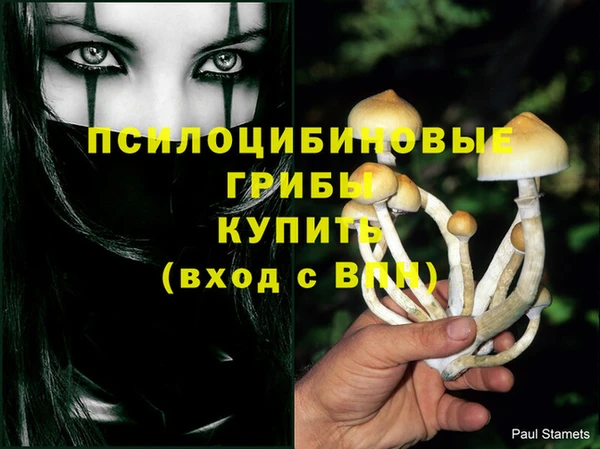 прущая мука Заволжск