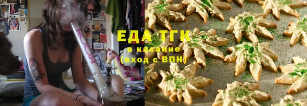 индика Заволжье