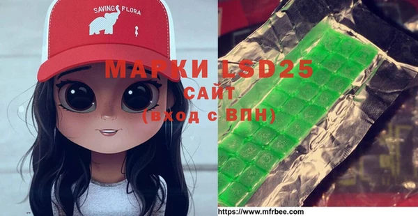 индика Заволжье