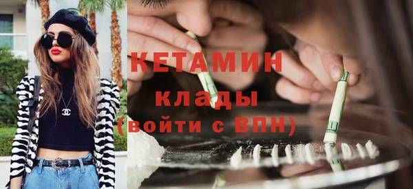 индика Заволжье