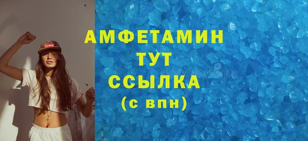 индика Заволжье
