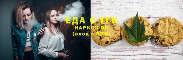 индика Заволжье