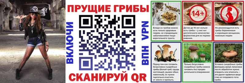 Галлюциногенные грибы Magic Shrooms  Купить  Злынка 
